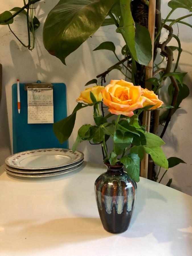 Simple & Cozy Hanoi Homestay Kültér fotó